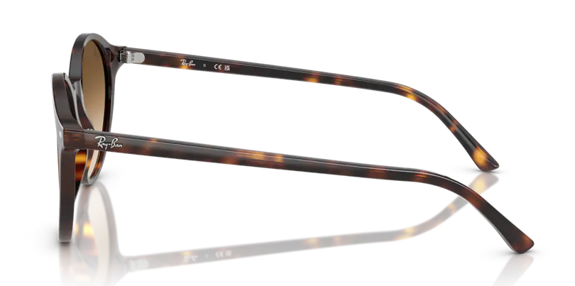 BERNARD RB2230 902-51 BERNARD RB2230 902-51