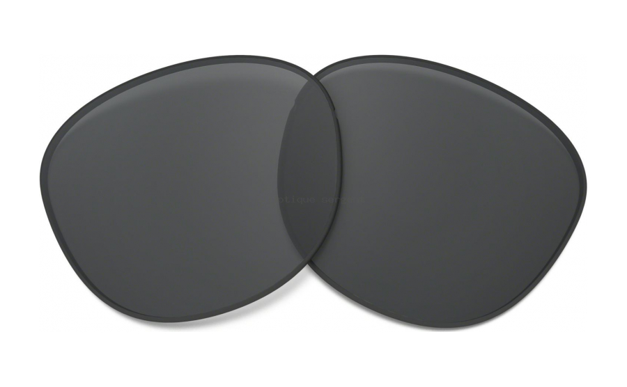 Prizm Black Polarized