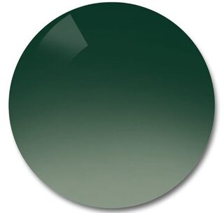 Verres solaires Polycarbonate vert degrade