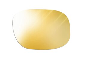 Verres solaires REACTIV 1-3 Light Amplifier