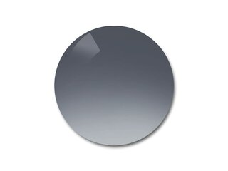 Verres solaires Organique Gris Dégradé T3