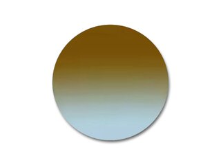 Verres solaires Organique Marron Dégradé Bleu 5D