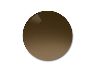 Verres solaires Polycarbonate Polar Brown gradient  T5