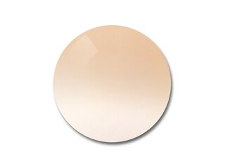 Verres solaires Polycarbonate Pink Gradient Grey 46