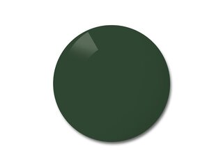 Verres solaires Polycarbonate Transitions Jade JD