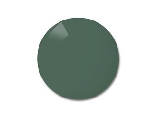 Verres solaires Polycarbonate green polar 9A