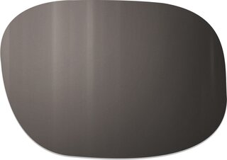 Verres de remplacement Spectron 3 Polarized Brun