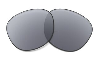 Verres de remplacement Prizm Grey polarized