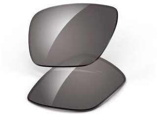 Verres de remplacement Paire de verres Dispatch 2