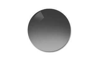 Verres de remplacement Polycarbonate gris dégradé F